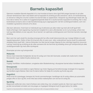 Modell_Barnets_kapasitet_Grønn_210x210mm2